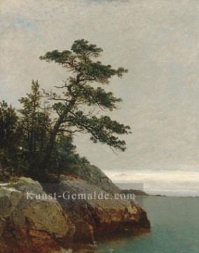  alt - The Old Pine Darien Connecticut Luminism Seestück John Frederick Kensett